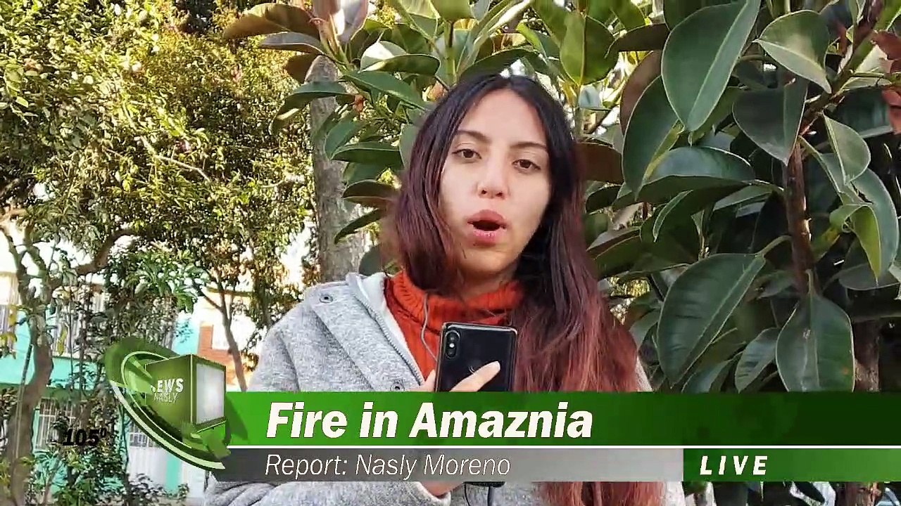 Fundamentos de Economia NEWS