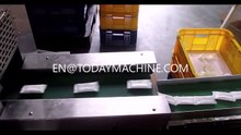 Flowrapper Horizontal Flow Wrapper