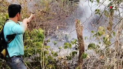 Amazonie : Jair Bolsonaro envoie l'armée en renfort