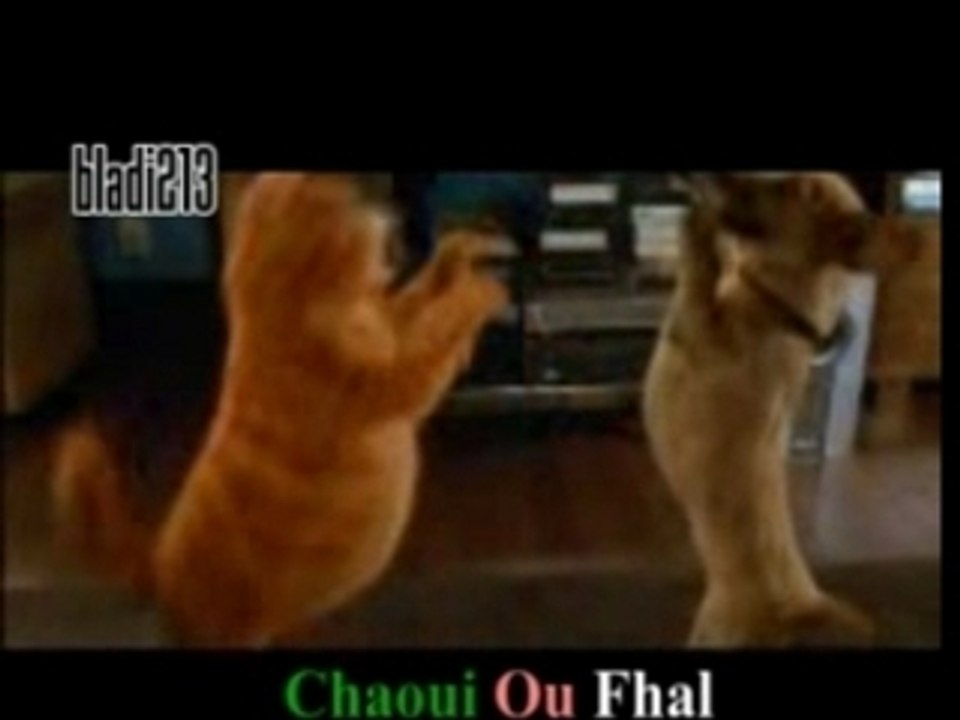 Chaoui ou fhal