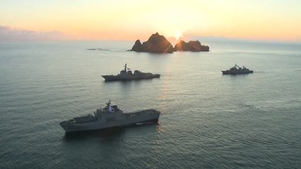 [뉴스TMI] 사상 최대 규모의 독도 방어 훈련, 언제부터 시작됐을까? / YTN