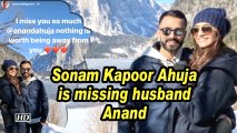 Sonam Kapoor Ahuja is missing husband Anand