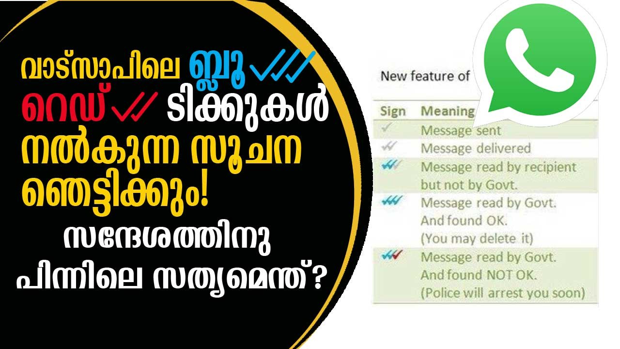 വാട്‌സാപ് സന്ദേശങ്ങള്‍ സര്‍ക്കാര്‍ വായിക്കുന്നു! പിന്നിലെ സത്യമെന്ത്? WhatsApp 3 Blue Ticks ✔, Red ✔