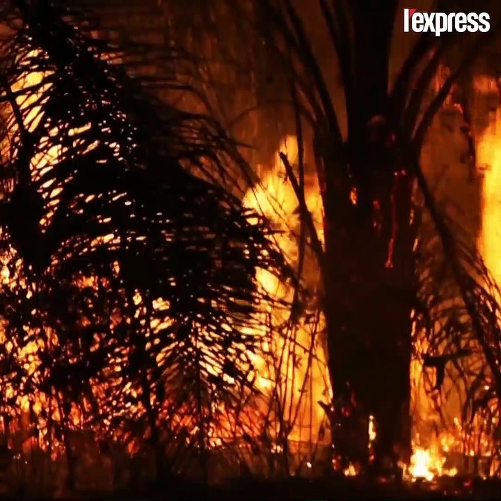 L'Amazonie est toujours en proie aux flammes