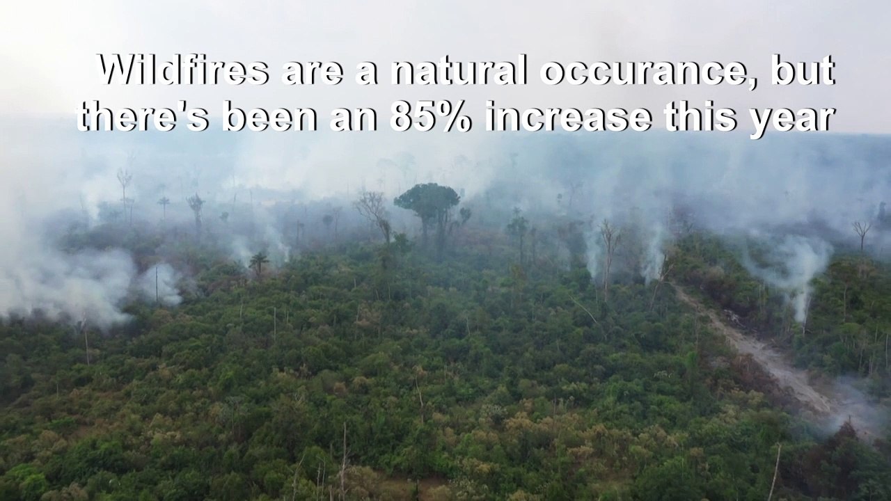 Fires continue to sweep through the Amazon