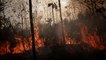 بعد ضغوط دولية .. البرازيل ترسل الجيش لمكافحة حرائق الأمازون