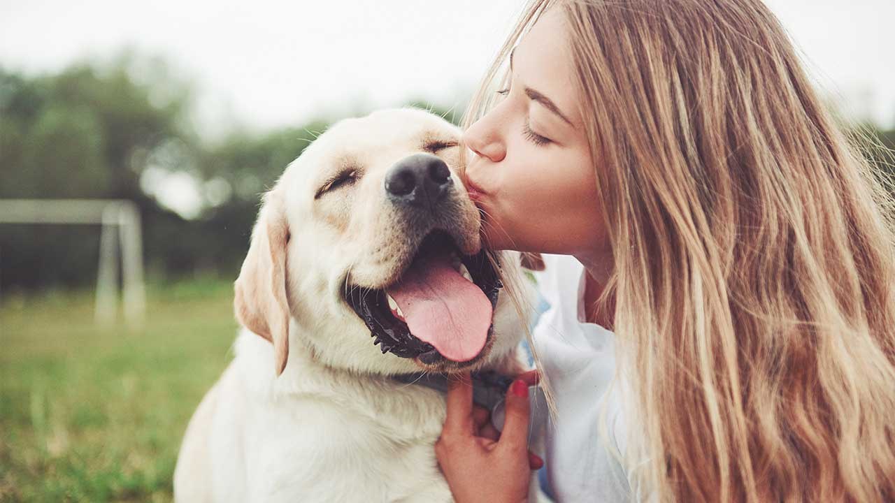 Tag des Hundes: Darum lieben wir unsere Vierbeiner so sehr