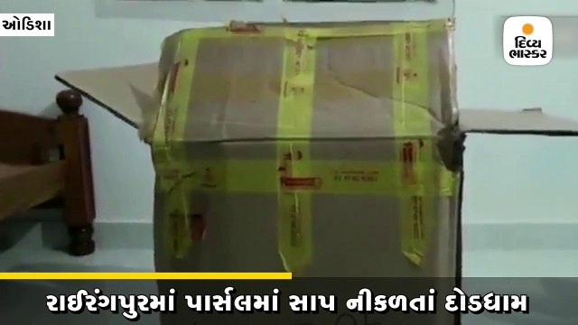 ઓડિશામાં એક પાર્સલમાંથી 6 ફૂટ લાંબો કોબ્રા સાપ નીકળતાં દોડધામ