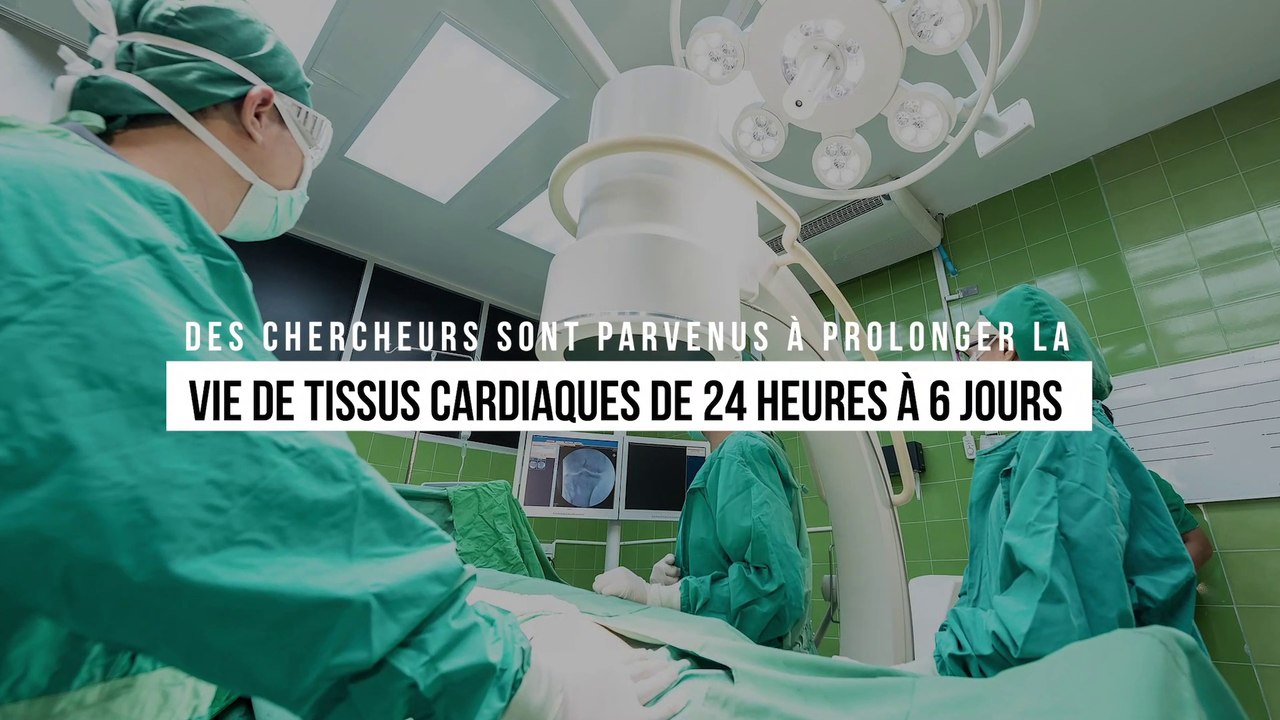 Des chercheurs sont parvenus à prolonger la vie de tissus cardiaques de 24 heures à 6 jours
