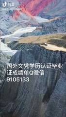 国外学士学位认证加Q/微9105133〈Brandeis毕业证成绩单offer〉留信认证/布兰迪斯大学文凭毕业证成绩单offer，雅思成绩单,在读证明,使馆认证(回国人员证明)BrandeisUniversity