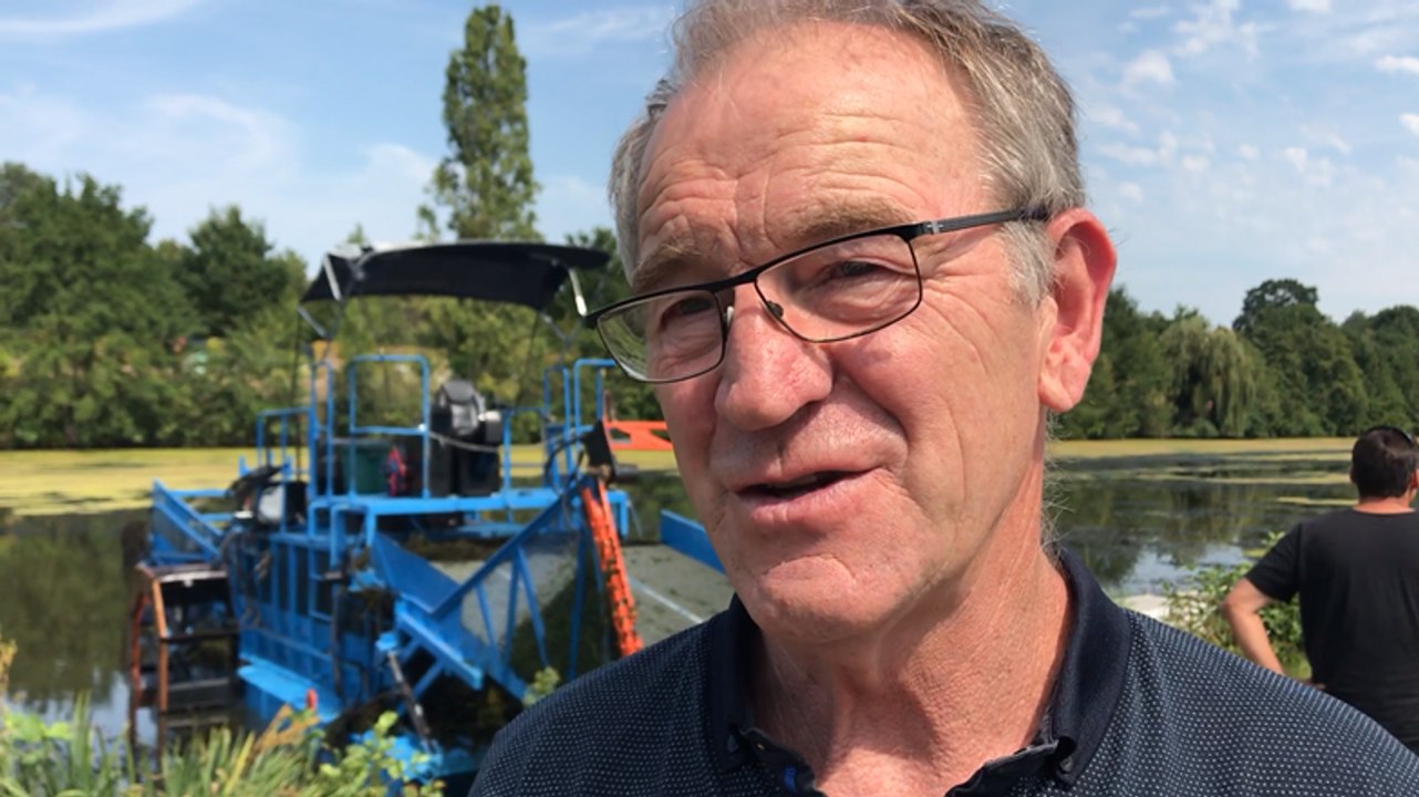 Les plantes invasives de la Vilaine ont tout de même un avantage...