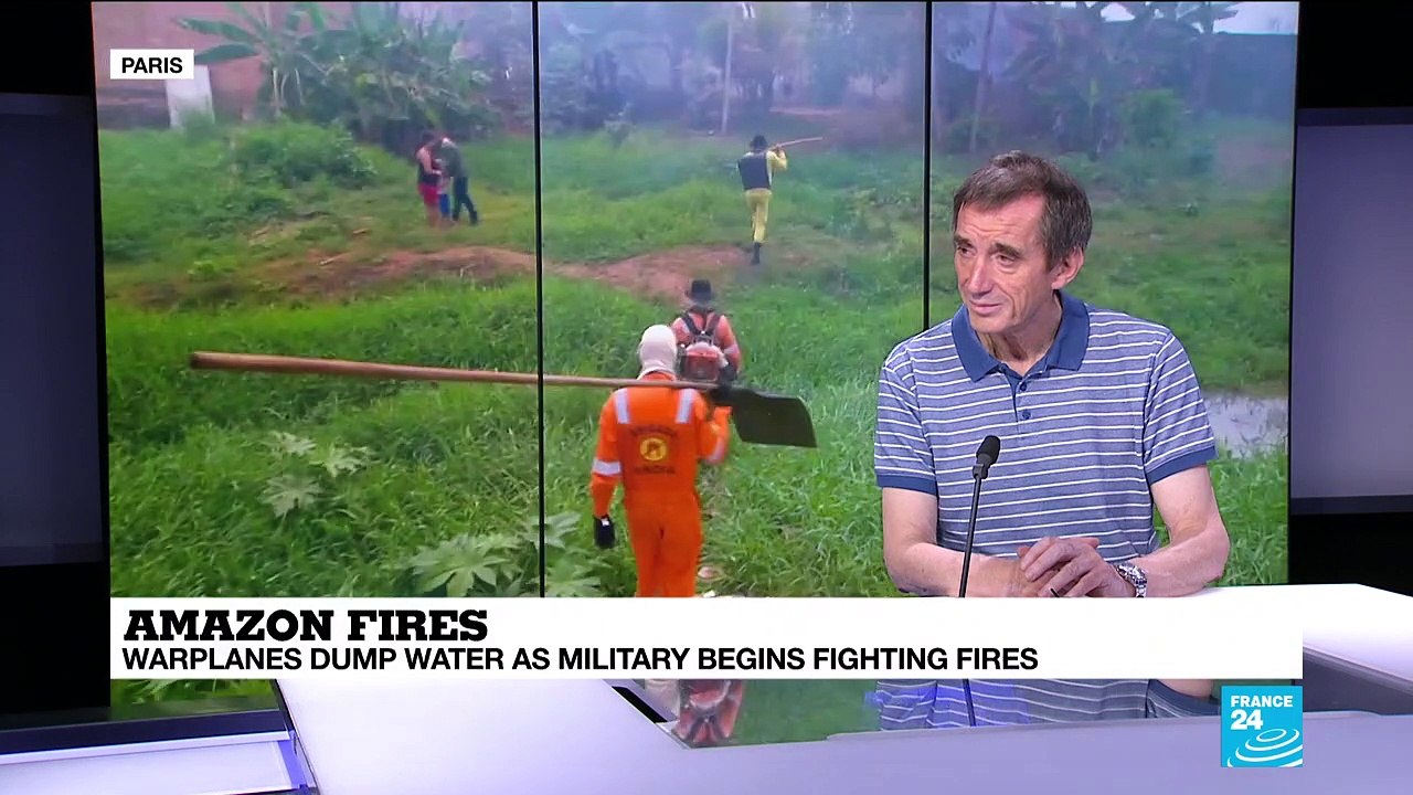 Amazon rainforest fires - Hervé Théry tells us about international cooperation