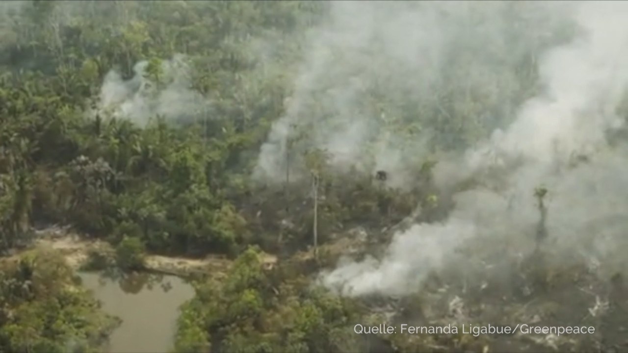 Waldbrände in Brasilien: Polizei ermittelt