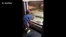 Little boy chooses a sting ray as his dance partner