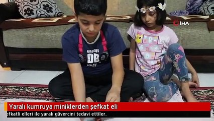 Yaralı kumruya miniklerden şefkat eli