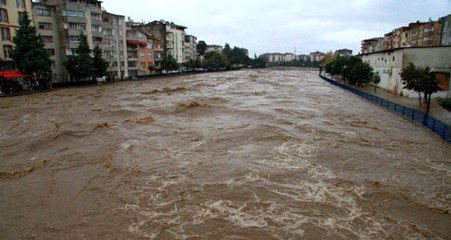 Samsun'un Terme ilçesinde yaşanan sel çiftçiyi vurdu! Zarar 250 milyon TL