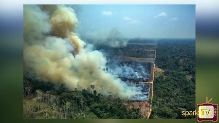 அமேசான் காட்டுத் தீ! உலகை எப்படி மாற்றும்?