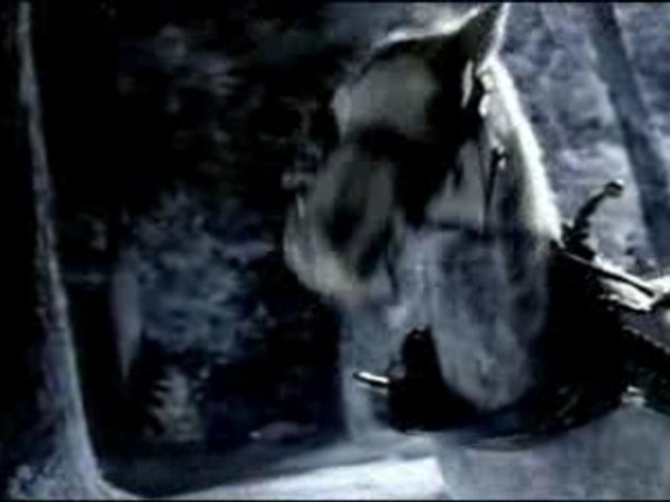 LE CHEVAL ET SON P !!!!