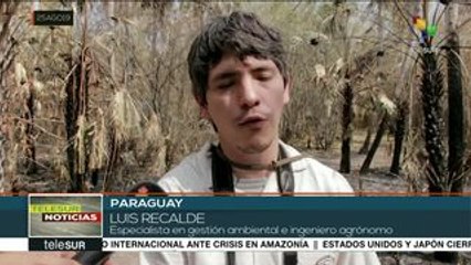 Se reaviva el fuego en la Amazonía paraguaya