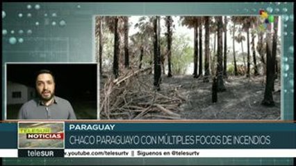 teleSUR Noticias: Francia: protestas tras reunión del Grupo G-7