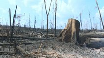 Cinzas e destruição na Amazónia brasileira