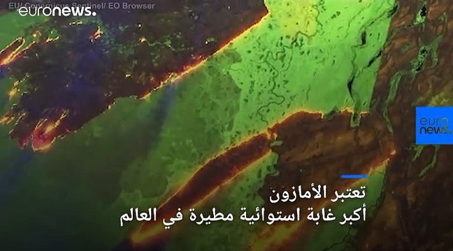رئة العالم تحترق.. فلماذا تثير حرائق الأمازون أزمة للبرازيل والعالم؟