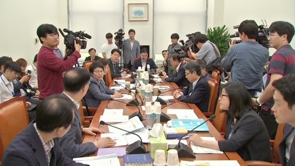 정개특위 1 소위원회, 선거법 개정안 전체회의로 이관 / YTN