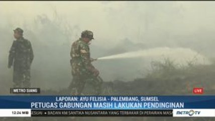 Kebakaran Lahan di Jambi Berhasil Dipadamkan
