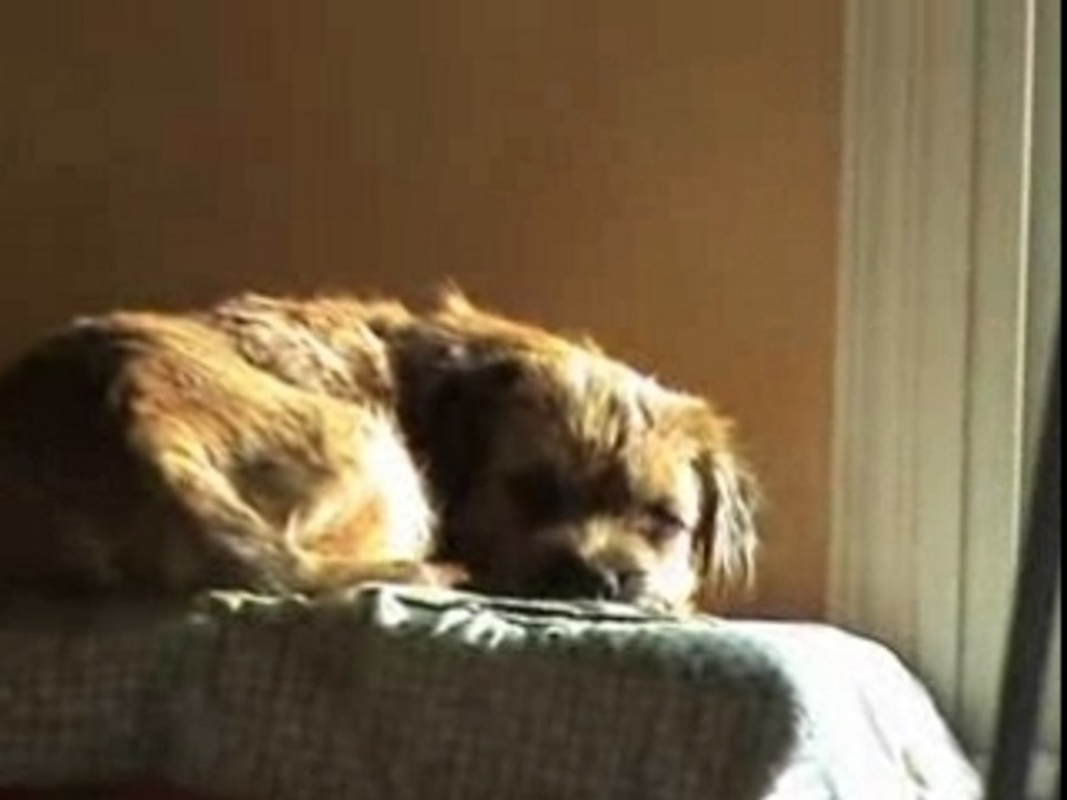 Tequila fait la sieste !