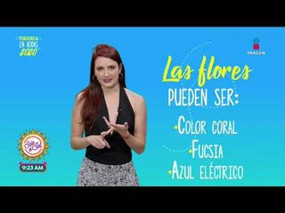 ¡Tendencias en bodas para este 2020! | Sale el Sol