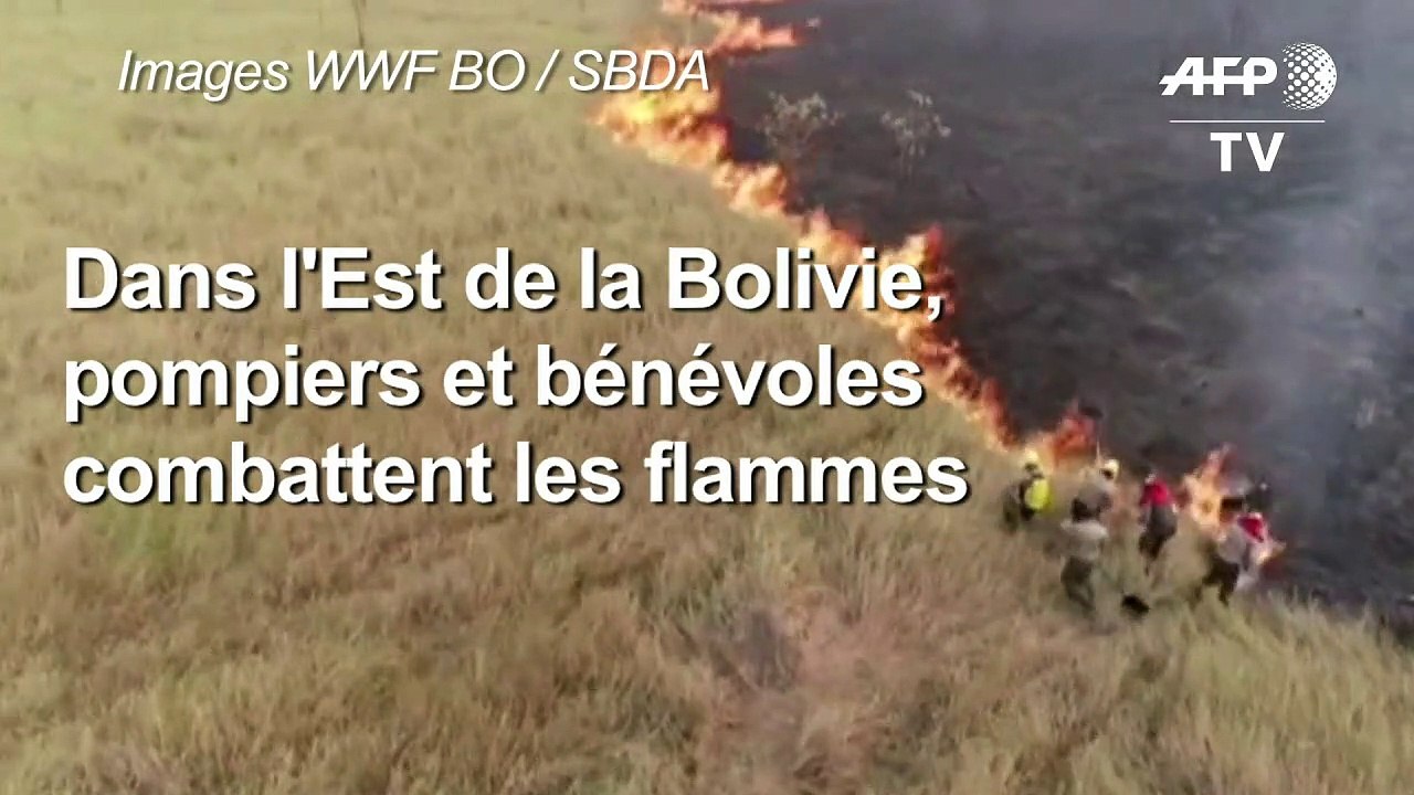 Bolivie: bénévoles et pompiers combattant les feux