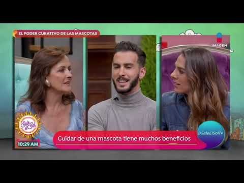 ¿Cuáles son los beneficios de tener una mascota? | Sale el Sol