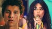 Shawn Mendes Reveals Anxiety Ahead Of Senorita Vmas Performance With Camila Cabello