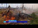 Jair Bolsonaro, gran culpable de incendio en Amazonas: Frederico Noleto