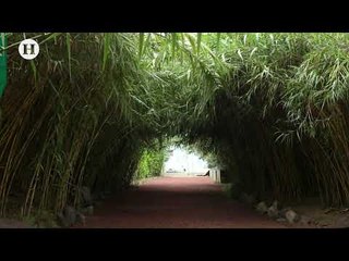 Biblioteca Vasconcelos, un recorrido cultural único en la CDMX