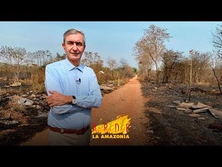 De selva tropical a tierra arrasada: fuego sin control en la Amazonia