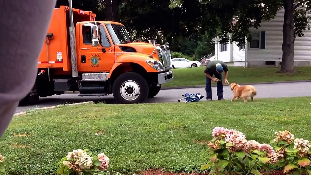 Ce chien attend avec impatience le passage du camion poubelle