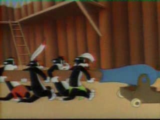 Titi au pays des indiens