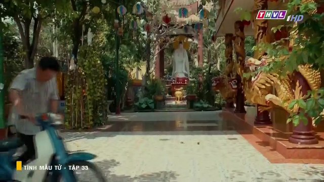 Tình Mẫu Tử Tập 33 - Bản Chuẩn - Phim Việt Nam THVL1 - Phim Tinh Mau Tu Tap 34 - Phim Tinh Mau Tu Tap 33