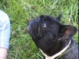 Juliette qui mange des mouche...