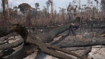 Brazília: nem érzékelhető még a hatalmas katonai akció a tüzek ellen