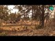 Miniature DailyMotion