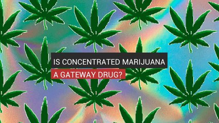 Is Concentrated Marijuana A Gateway Drug?