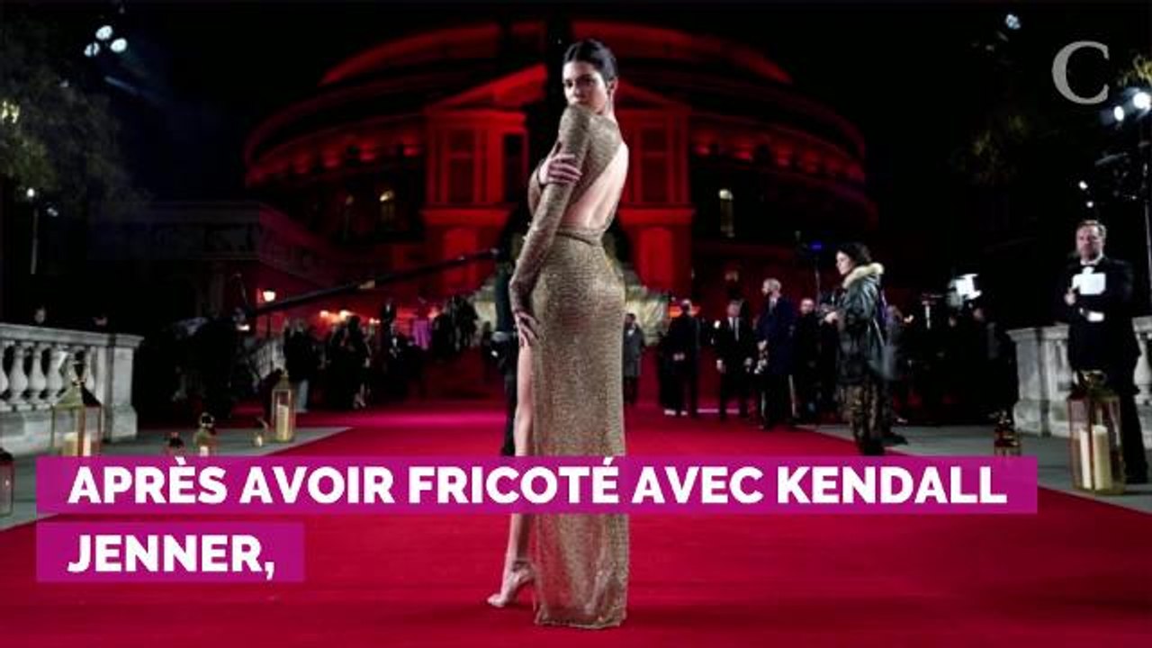 PHOTOS. C'est chaud ! Anwar Hadid et Dua Lipa :...