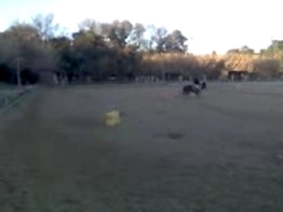 V26-01-08_16.59[1]