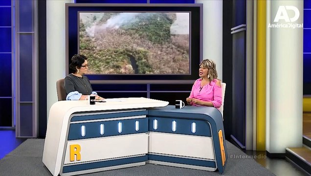 ¿Cuál es la solución para la Amazonía? ¿Qué pasa actualmente el Arco Minero?