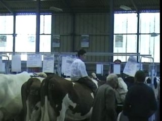 terralies 2008 l etable