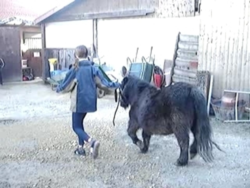 Ballade avec Stella