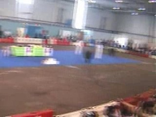 ROLLER INDOOR AGEN 2008- Finale fond junior