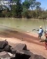 Ce crocodile vole le poisson d'un pêcheur à peine sorti de l'eau !